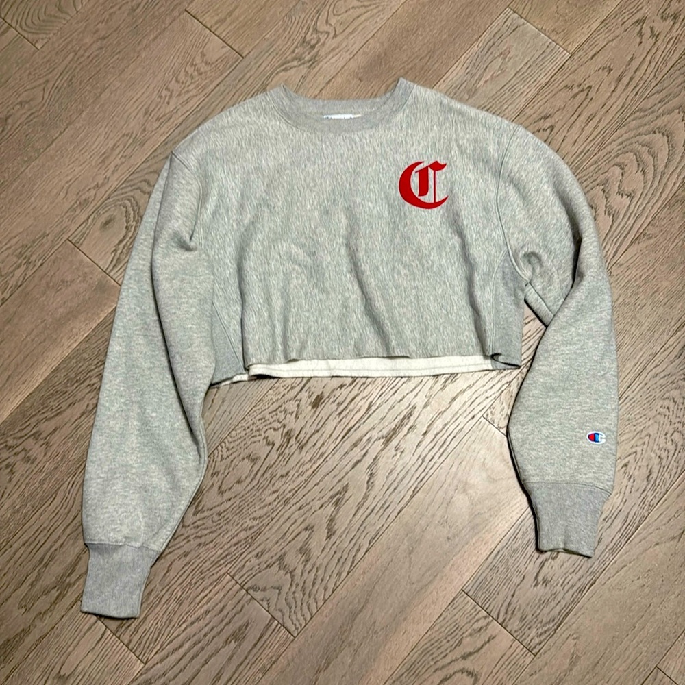 Gray champion crop sweater